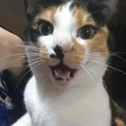 みのりん