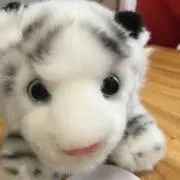 ゆうほ ♦︎プロフ必読♦︎の画像