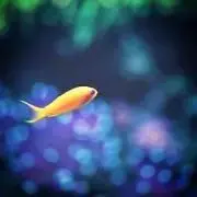 ゆうの画像