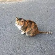 かずくー