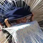 Eriの画像