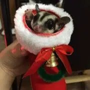 みぃ