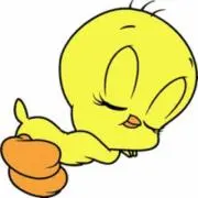 ニコの画像