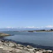 のんのの画像