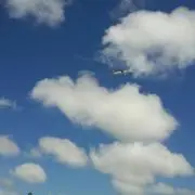 フータンの画像