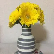 Argの画像
