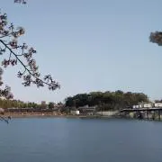 Image of 磐田
