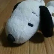 ママちゃん☆の画像