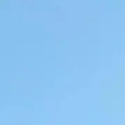 大小僧の画像