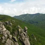 断捨離ママの画像