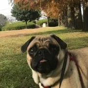 Mikeの画像