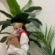 mの画像