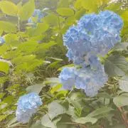 にこの画像
