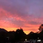 ぷうさん