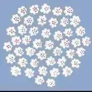 なみへいの画像