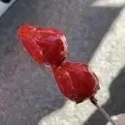 saramama