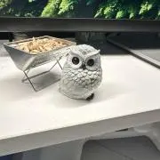 しまむさらん