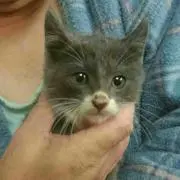 まさ