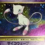 みゅーの画像