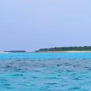 ちさと