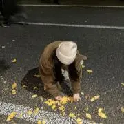 おさるの画像
