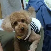 むーみん