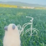 ててぴょんの画像