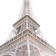 cocoの画像