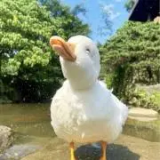imuの画像