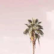 RHの画像