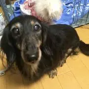 クリア