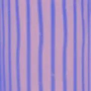 Akariの画像