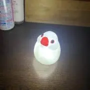 ロイくん
