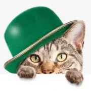 Image of みどり猫