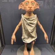 YMの画像