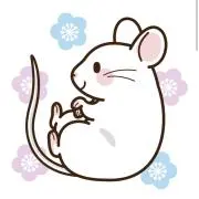 しろねずみの画像