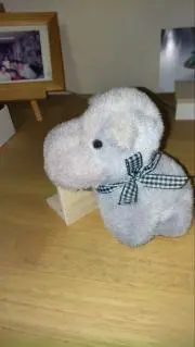 hippoの画像