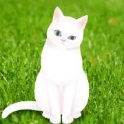 mi