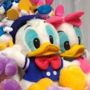 ぼたん☆の画像