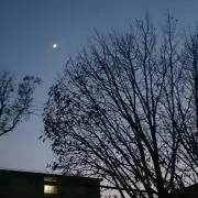 ゼブラヘッド【ご一読下さい(*˘︶˘*】の画像