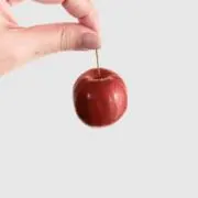 おまけの画像