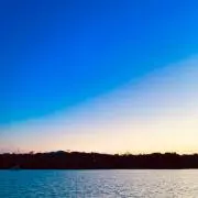 しみーの画像