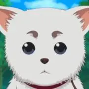 ぴかその画像