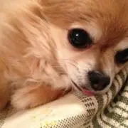 くるぶし