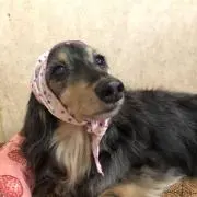 Kちゃんママ