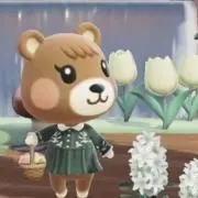 メープルの画像