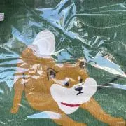 たぬきくんの画像