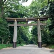 MYKの画像