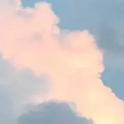ピーマンの画像