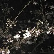 埴輪♡プロフ必読